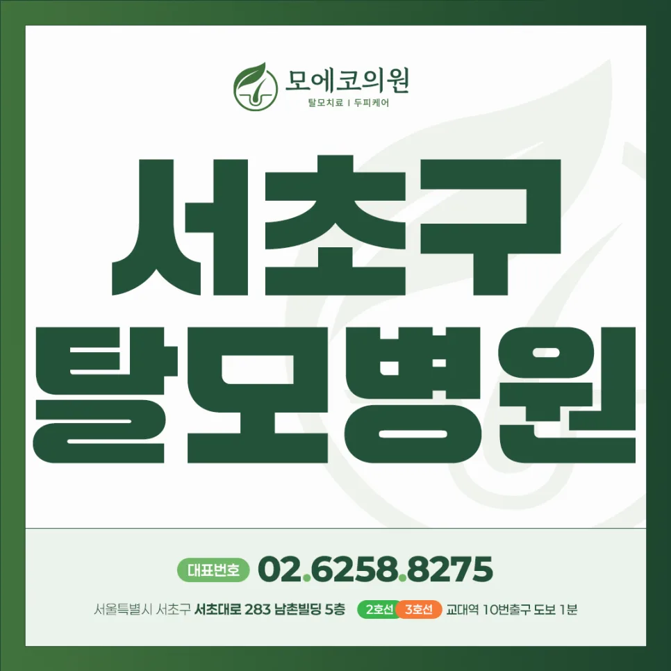 다이어트 탈모 원인과 해결책 2026: 영양 부족 시점별 분석