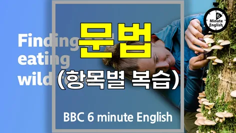 야생 식용 작물 채집 2026: 안전한 먹거리 찾는 법과 영어 표현