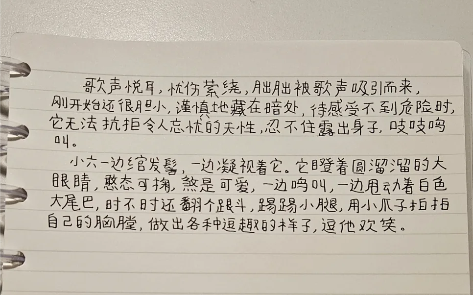 장상사 朏朏 등장: 憨态可掬 뜻과 煞是可爱 해석 2026
