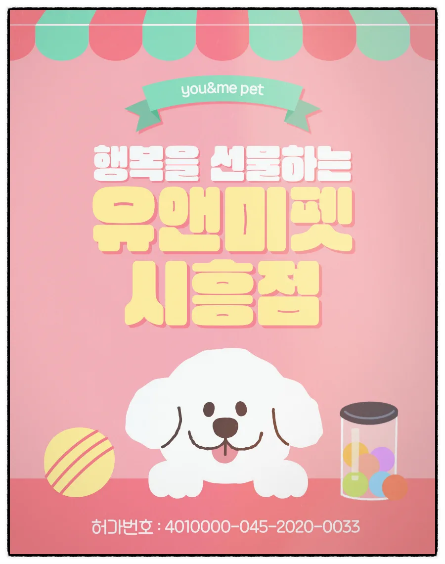 파주 포메라니안 분양 2026: 유앤미펫 방문 후기 및 건강한 강아지 선택법 — 반려동물 — dbdosalvpt
