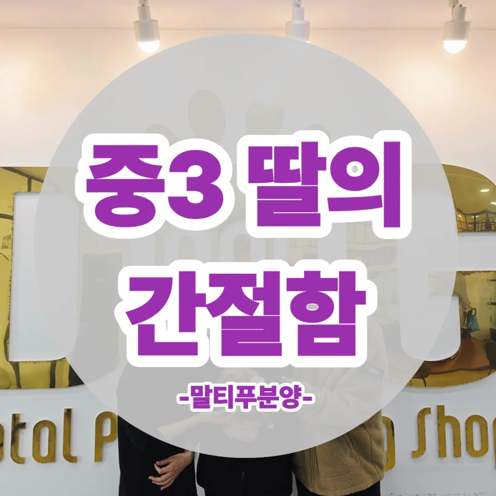 말티푸 분양, 우리 아이에게 맞는 반려견 찾는 3가지 기준 2026