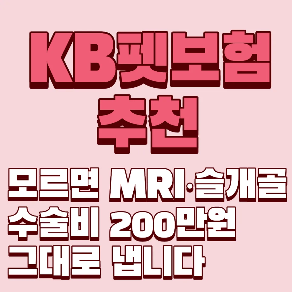 KB 펫보험, 2026년 고액 치료비 부담 줄이는 설계법