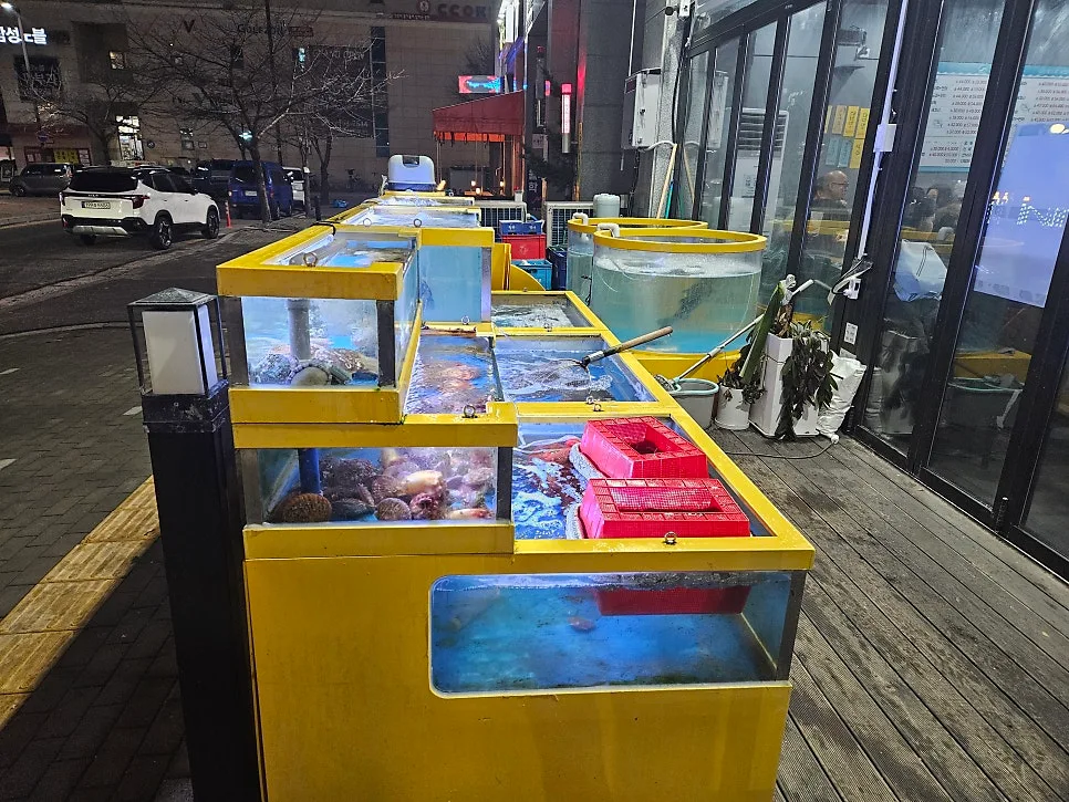 신원동 횟집 제철수산: 모듬회·대방어 맛집 2026년 완벽 가이드