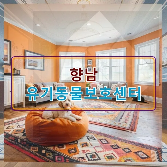 향남 유기견 입양 2026: 책임분양 성공 위한 필수 체크리스트