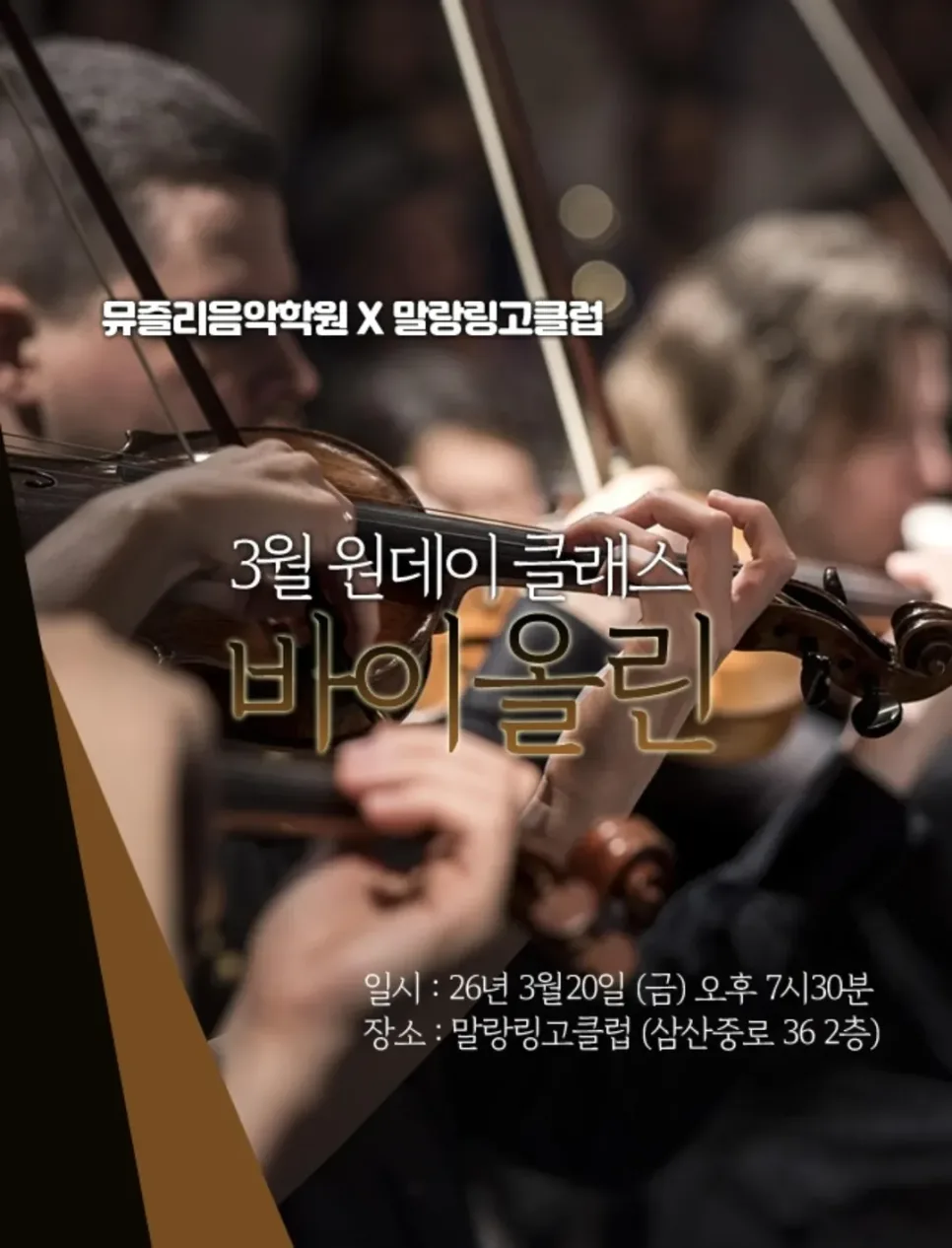 악기 연주 영어 표현 2026: Play the violin vs Play violin