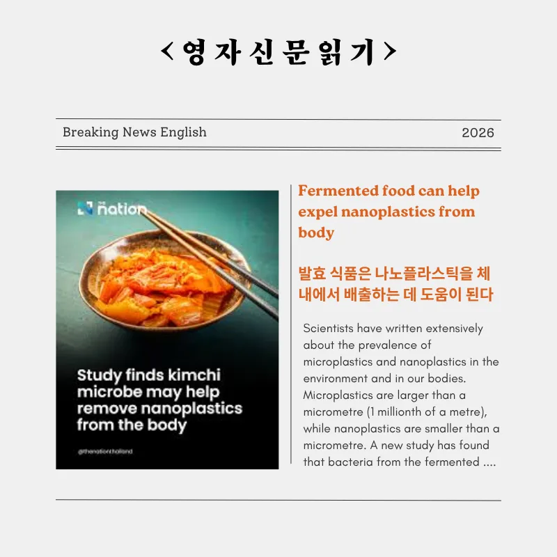 발효식품으로 나노플라스틱 배출 돕는 법 2026