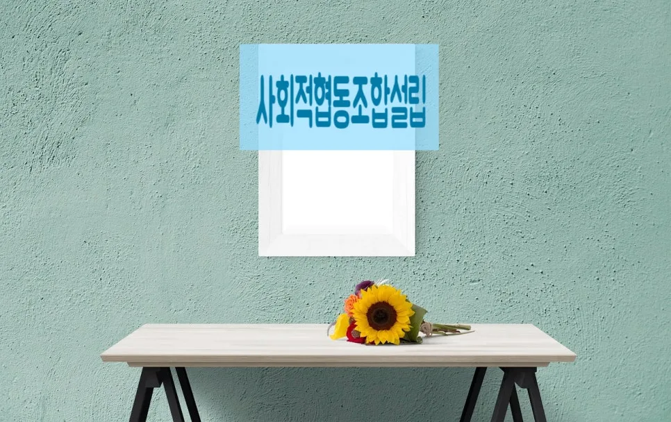사회적협동조합 설립 절차 및 요건 완벽 분석 (2026년 최신 정보)