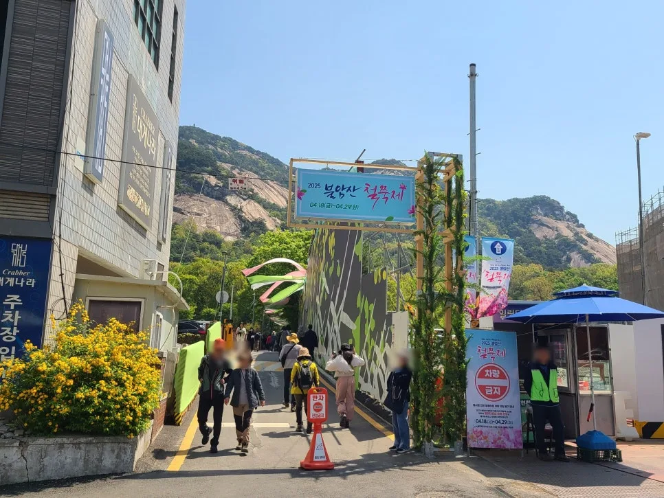 불암산 철쭉 명소 2026: 서울 도심 속 봄꽃 나들이 완벽 가이드 2