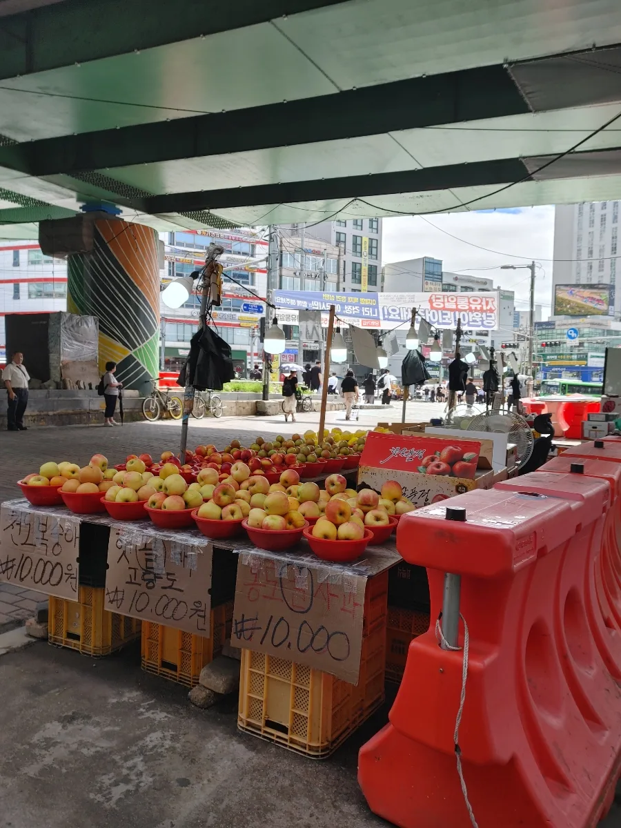 코엑스 별마당 도서관 방문 후기 및 이용 팁 2026
