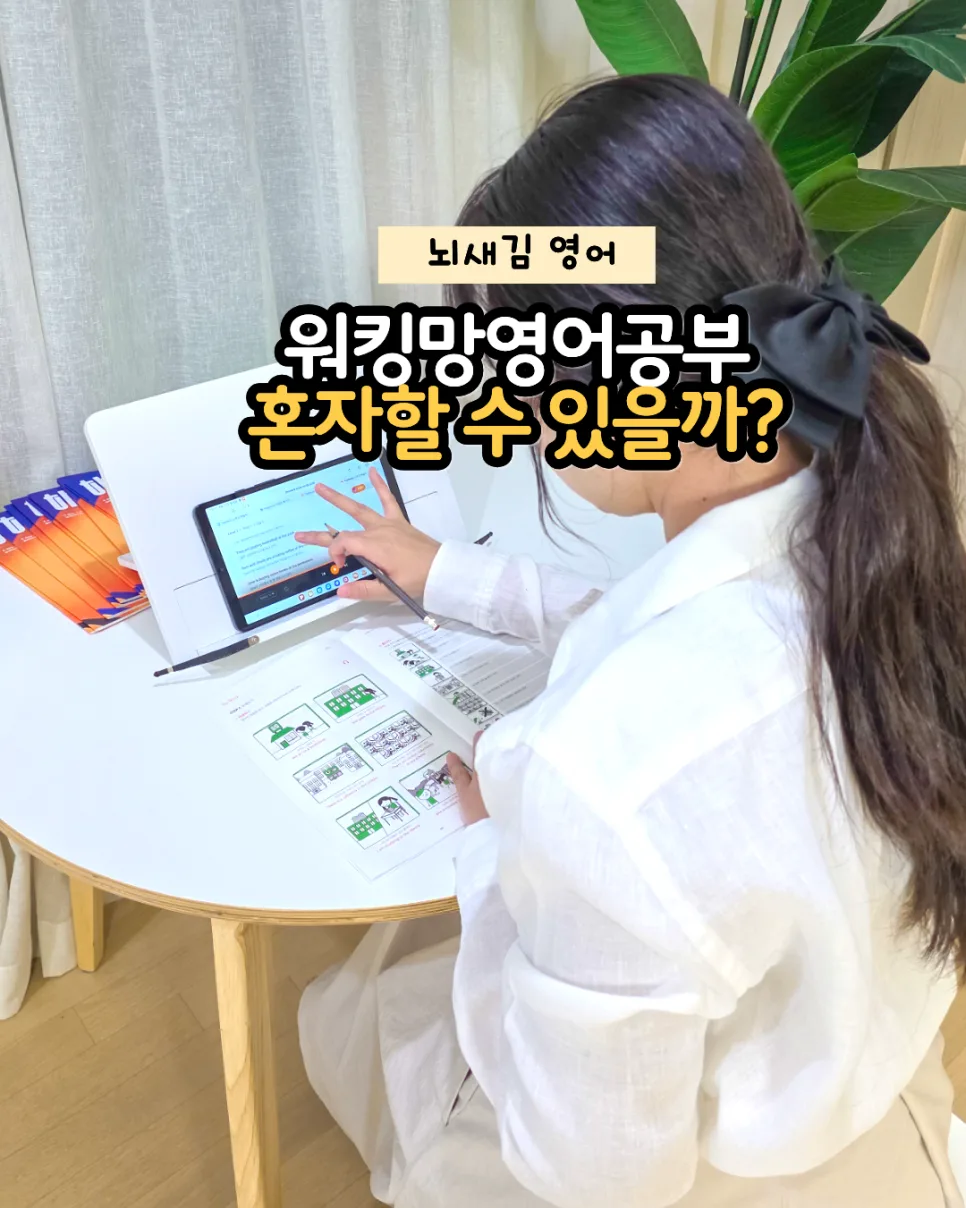 뇌새김 영어 평생 케어 장점 및 실제 후기 2026