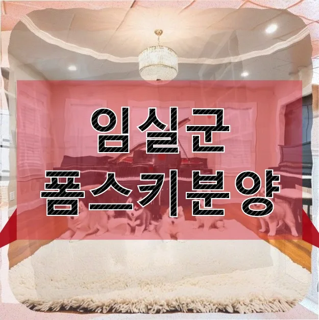 임실 폼스키 분양 2026: 1년 기다린 후기, 1인 가구 적합성 분석