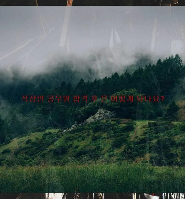 공무원 합격 후 변화: 직장 적응 및 성장 로드맵 2026