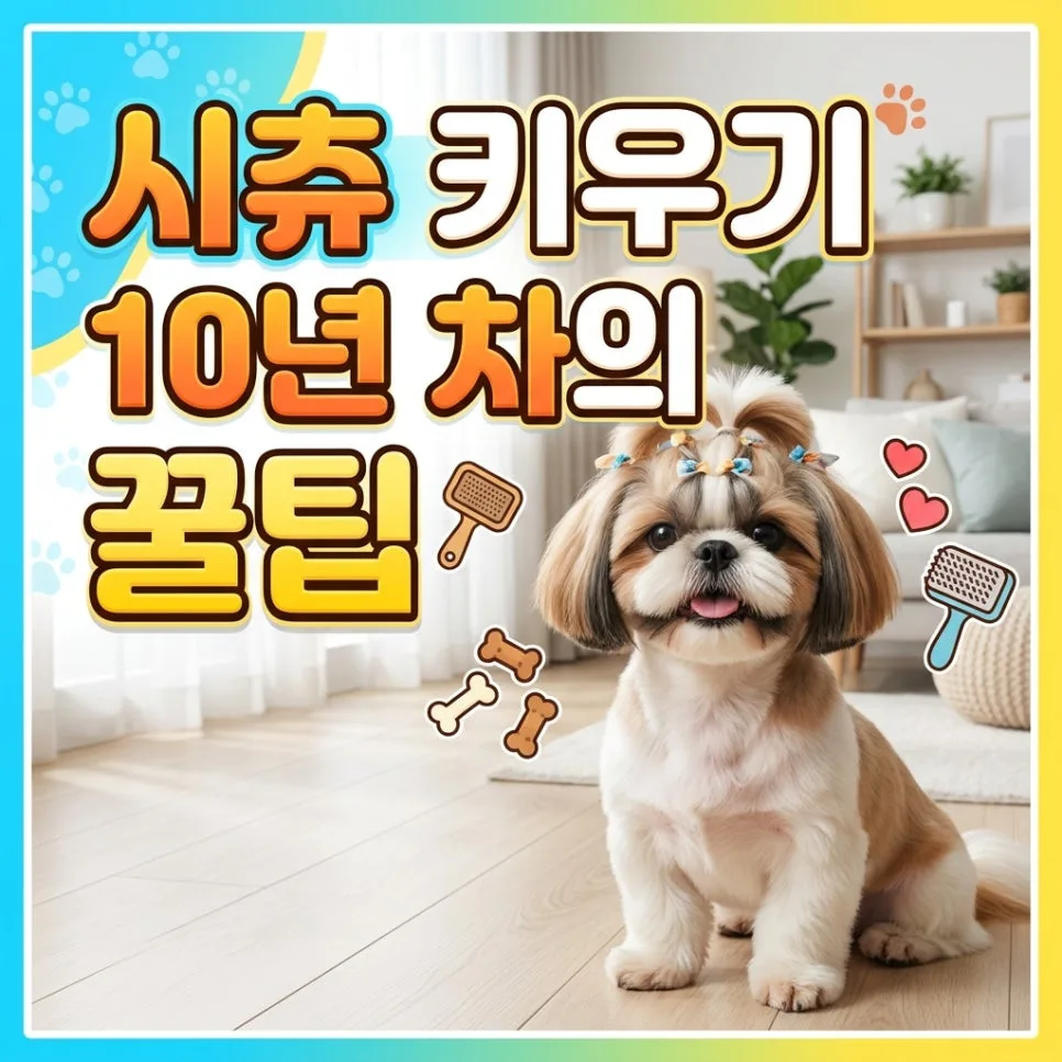 시추 건강 관리 꿀팁 2026: 10년 경험자가 전하는 필수 노하우