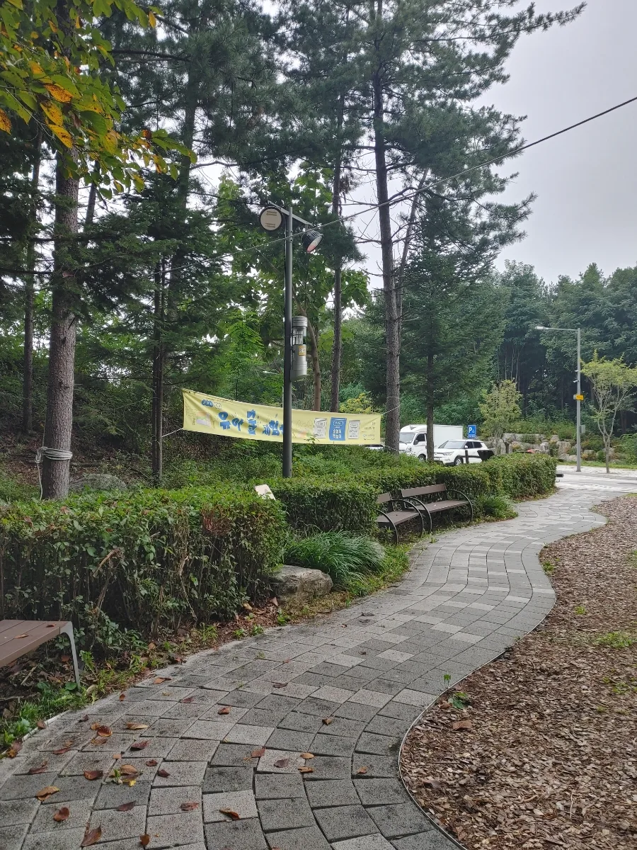 결혼 기념일, 막국수 맛집 탐방과 춘천 명소 나들이 2026