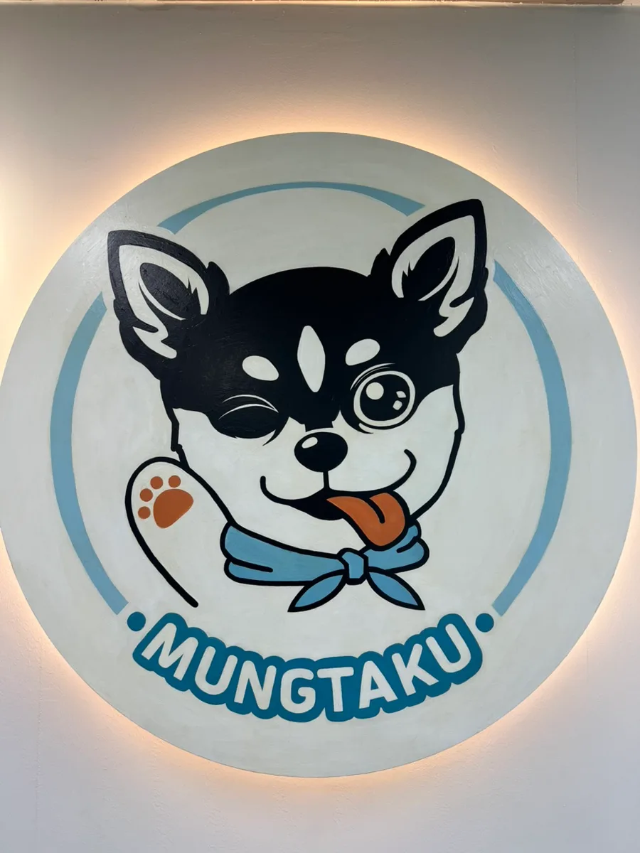 7개월 말티푸 첫 나들이: 홍대 애견카페 멍타쿠 경험 2026