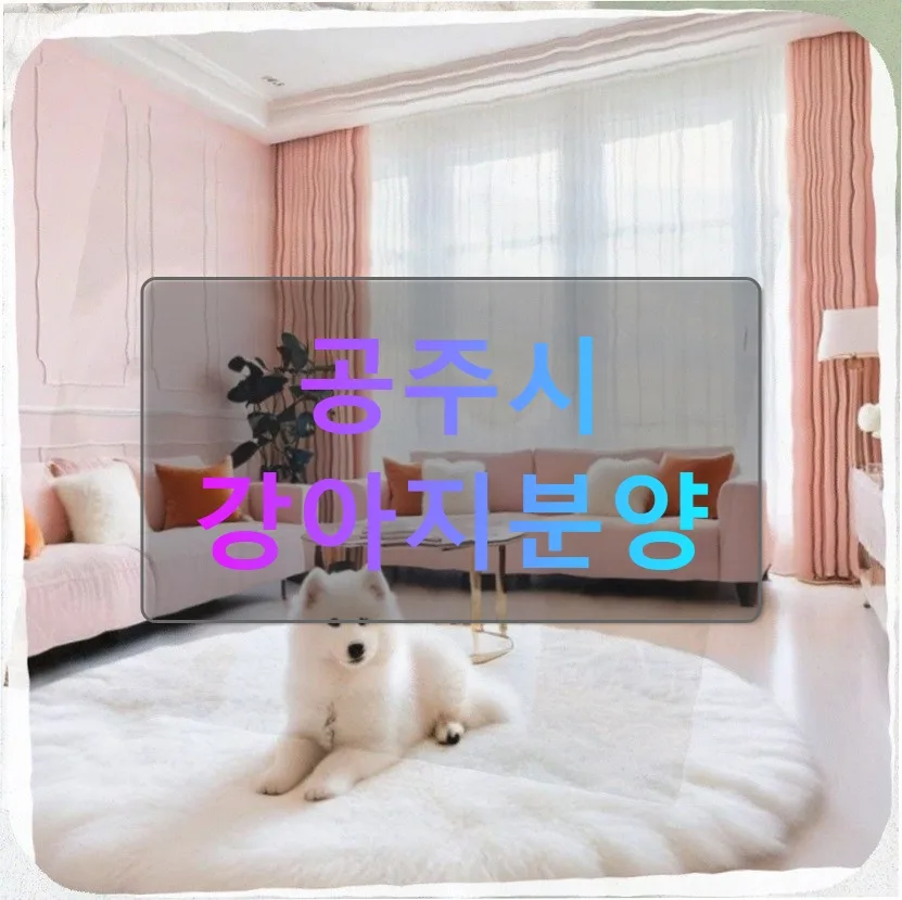 공주시 토이푸들 분양 후기: 비용, 훈련, 피부관리 2026