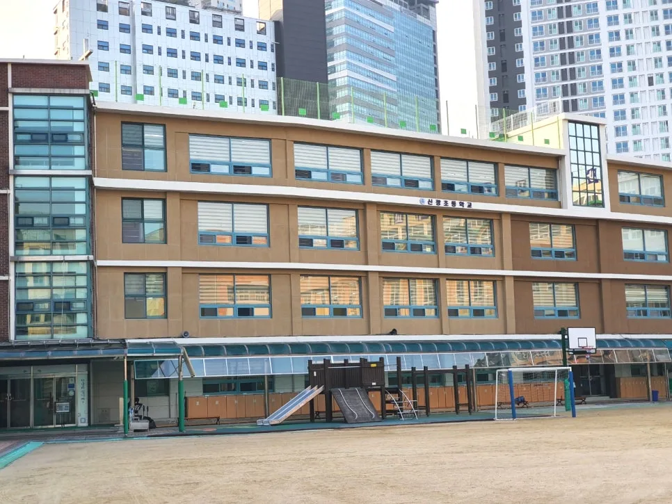 서울신광초 졸업앨범 촬영 후기 2026: 아이들 작품과 함께