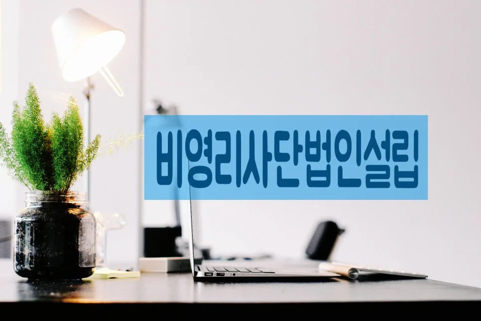비영리사단법인 설립 절차 완벽 가이드 2026