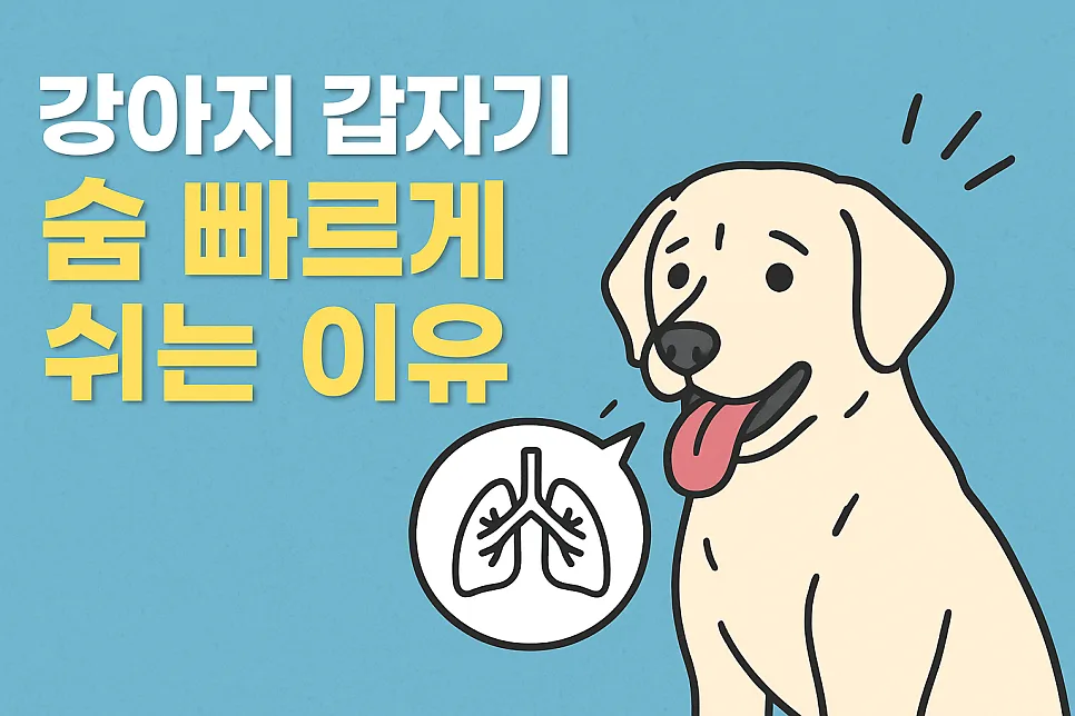 강아지 갑자기 숨 빠르게 쉬는 이유와 대처법 2026