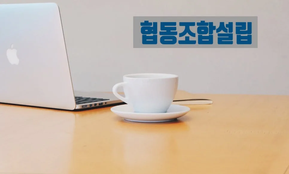 일반협동조합 설립 절차 2026: 전문가가 알려주는 핵심 단계