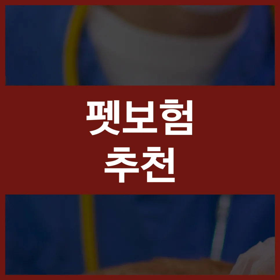2026년 펫보험 비교: 강아지·고양이 보험료, 보장 분석 및 추천