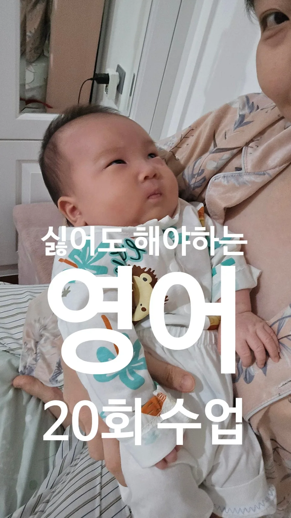 Learn Korean Numbers & Essential 'D' Words 2026