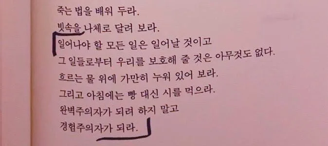 2026년 3월, 봄꽃 만끽하며 행복 충전하는 도쿄 여행법