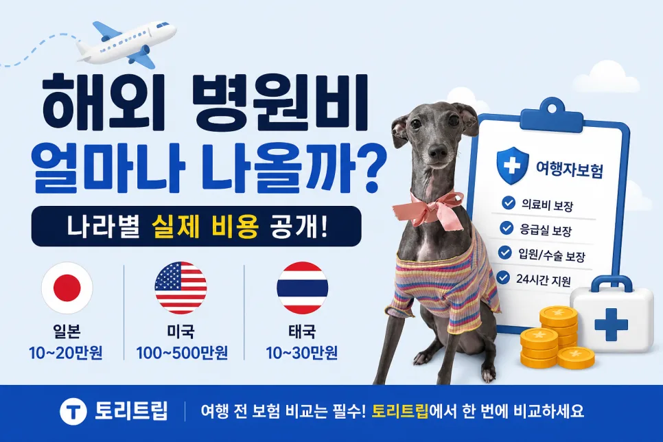 2026년 해외 병원비 평균과 나라별 차이, 여행자보험 대비법