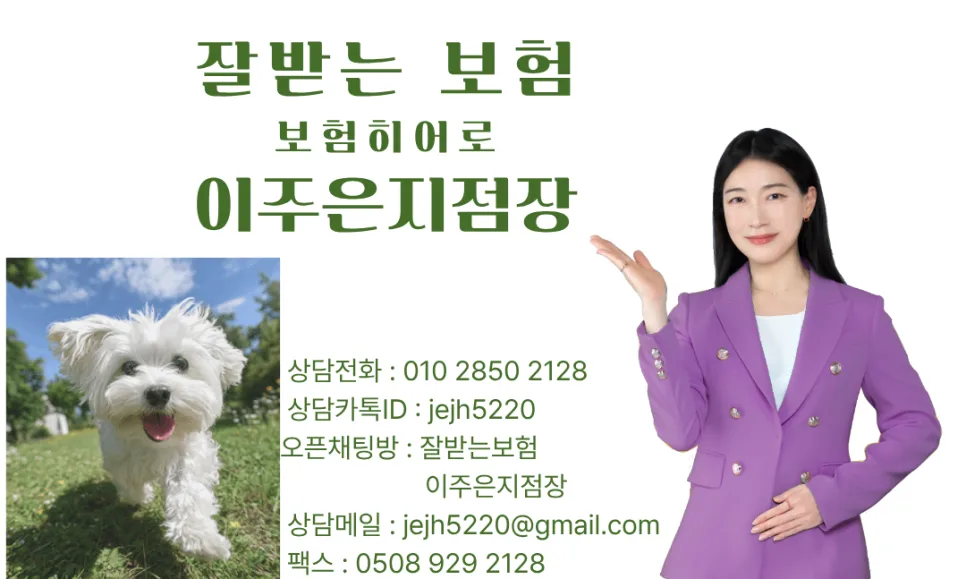 2026년 펫보험 완벽 분석: 배상책임부터 실손의료비까지