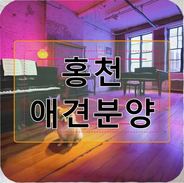 홍천 애견분양 준비 2026: 30대 직장인 현실적인 절차 총정리