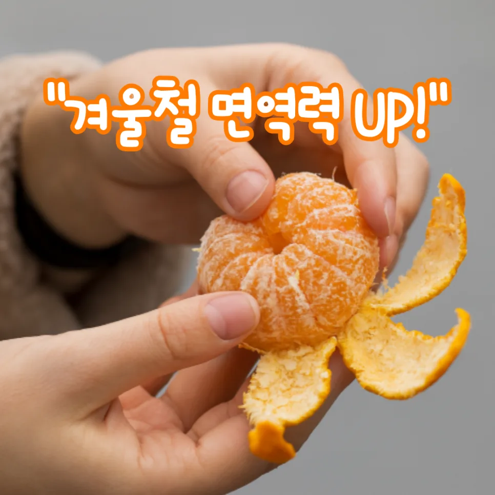 겨울철 면역력 강화 슈퍼푸드 5가지 추천 (2026)