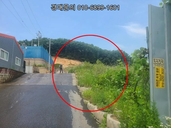 용인 임야 반값 경매, 계획관리지역 투자 기회 2026년 분석