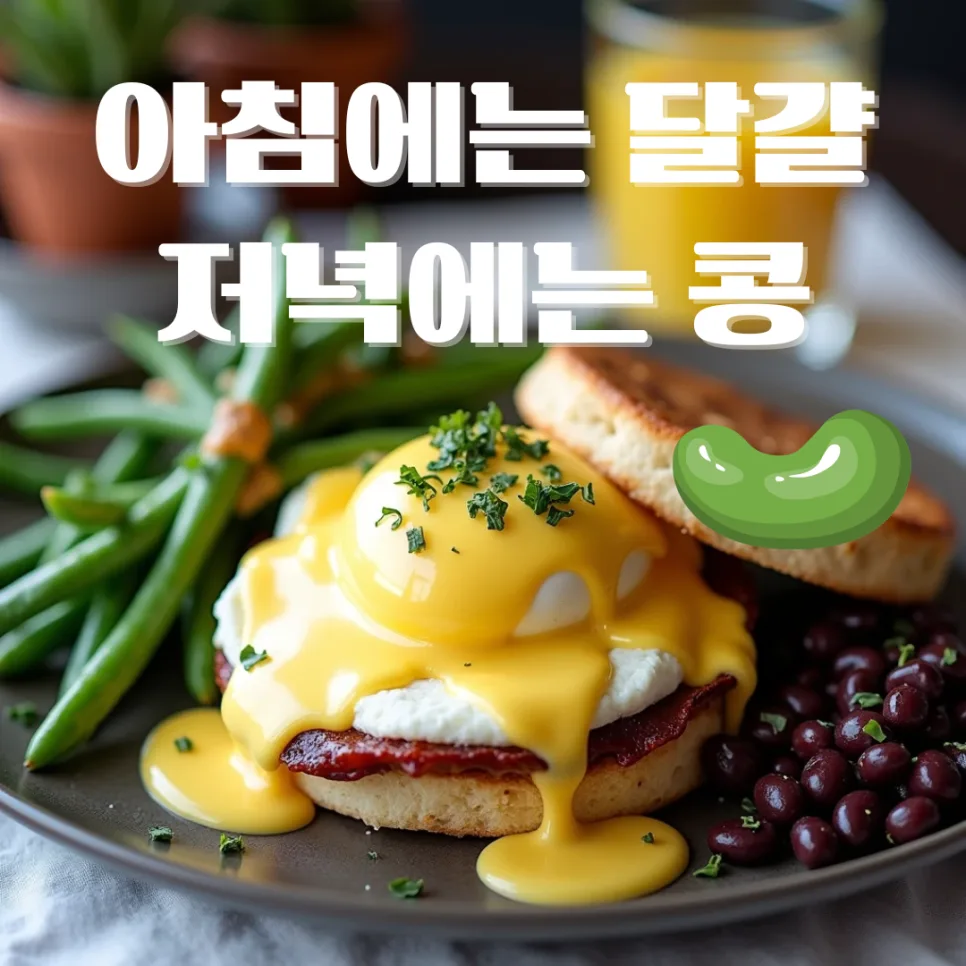 다이어트 호르몬 식단 2026: 아침 달걀, 저녁 콩밥 효과 총정리