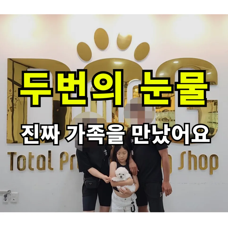 세종 강아지 분양 2026: 믿을 수 있는 곳 찾는 법 완벽 가이드 2