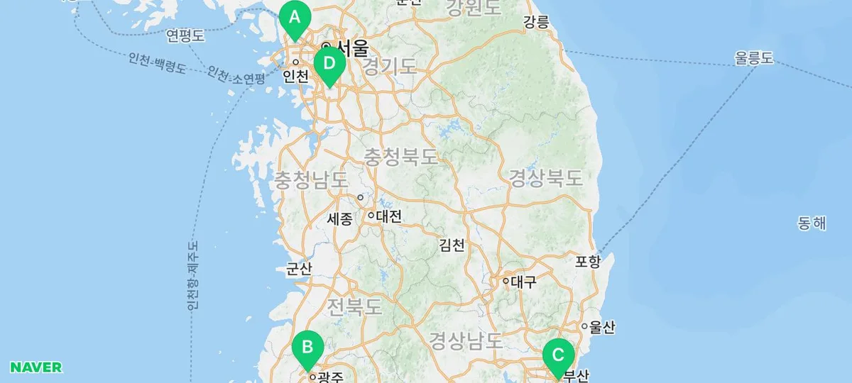 토이푸들 분양 비용, 2026년 현명한 선택을 위한 기준 총정리