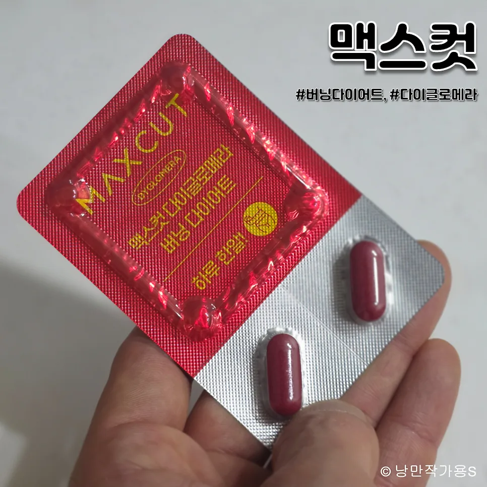 하루 한 알 다이어트 보조제 2026: 맥스컷 효과와 후기