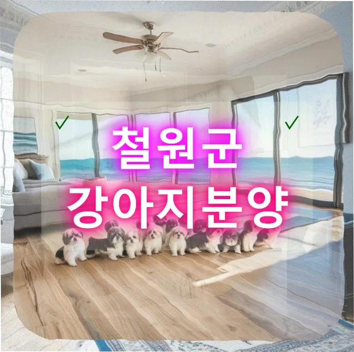철원 강아지 분양, 현실적 고민과 전문가 조언 2026