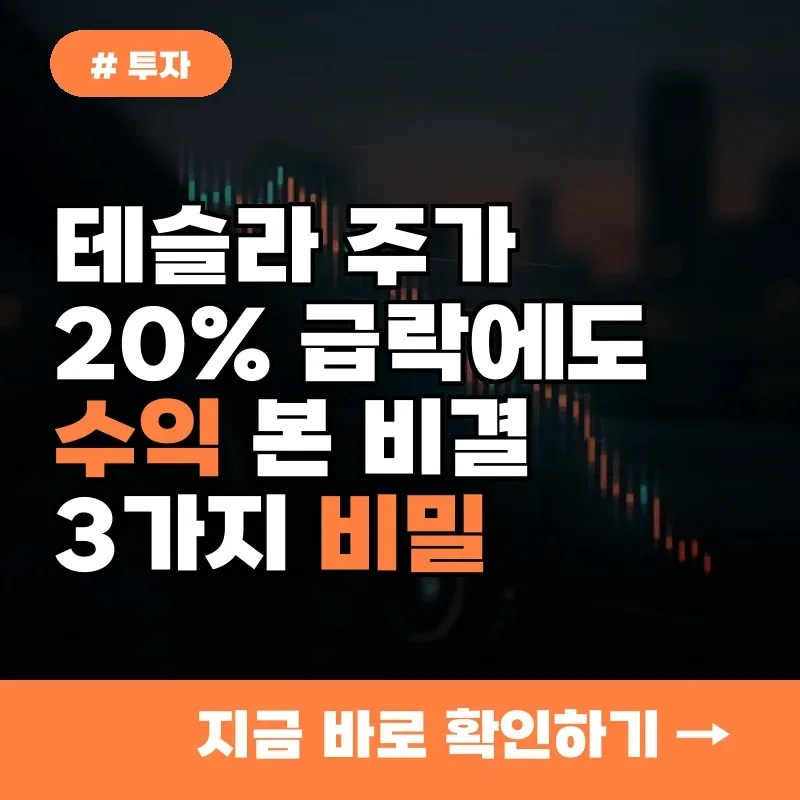 테슬라 주가 20% 하락에도 수익 낸 비결 3가지 (2026년 전망)