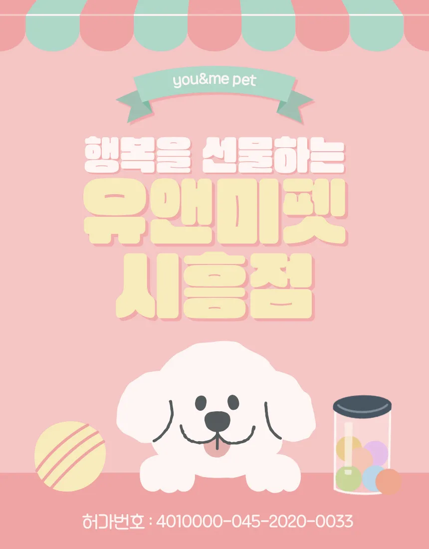김포 비숑 분양 2026: 유앤미펫 방문 후기 및 건강한 반려견 선택법 — 반려동물 — dbdosalvpt