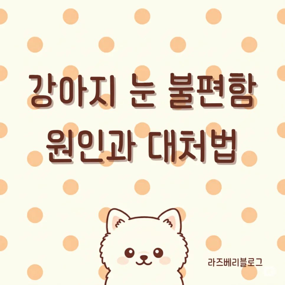 강아지 눈 못 뜸 증상, 2026년 밤에도 안심! 응급 대처법 총정리