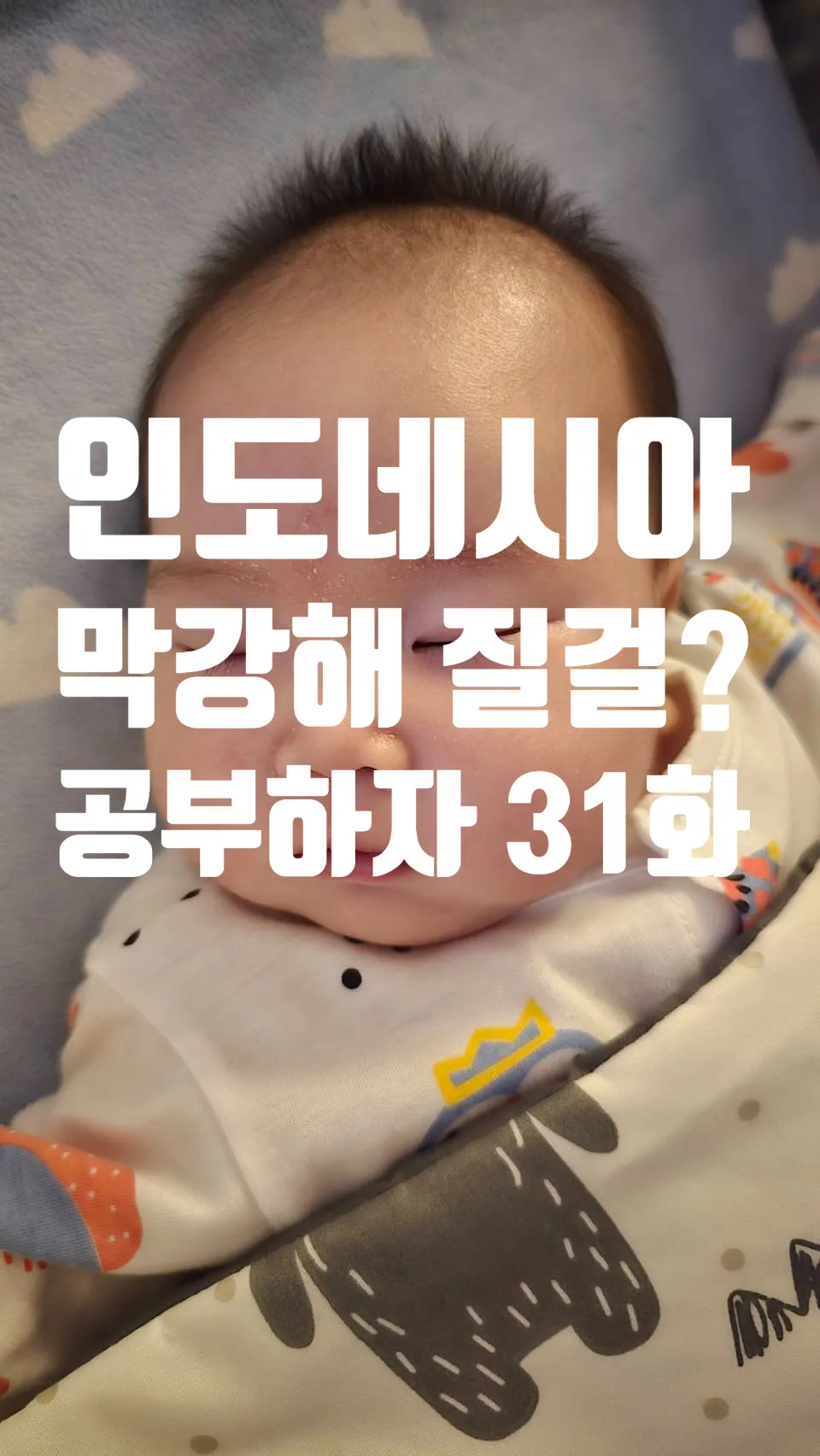 인도네시아어 필수 표현 2026: 여행/비즈니스 핵심 회화 총정리