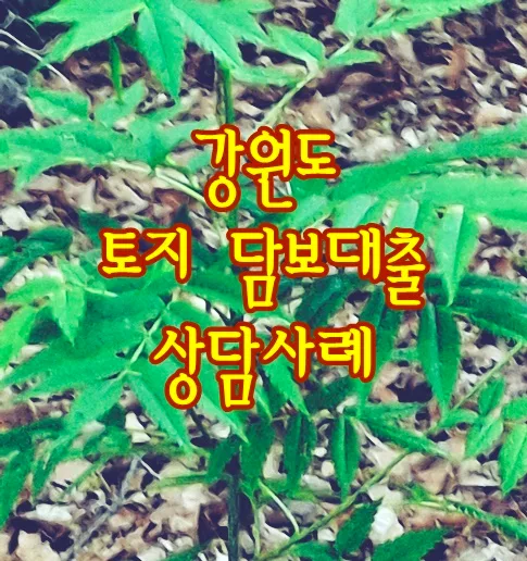 강원도 토지 담보대출, 2026년 승인 사례 및 조건 총정리