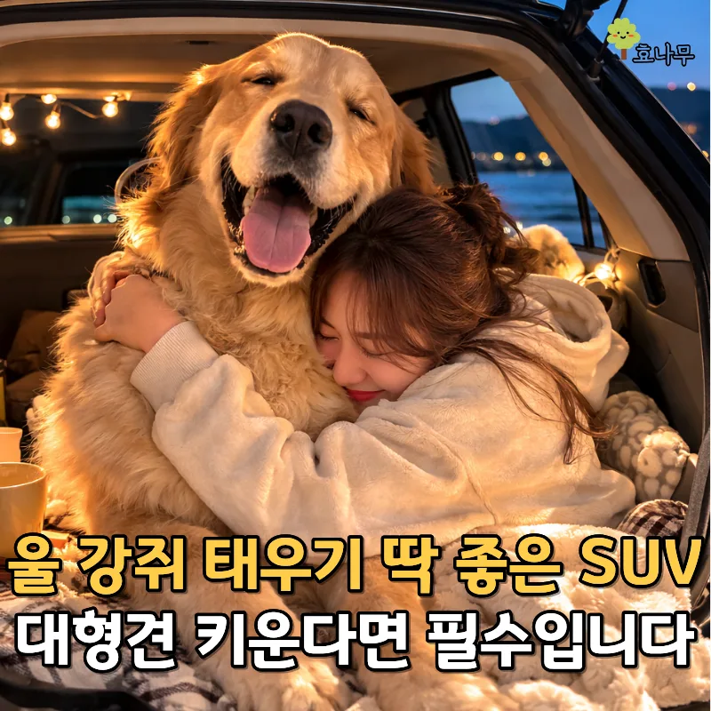 대형견과 함께 떠나는 여행: 국산 SUV 선택 가이드 2026