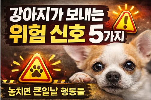 강아지 위험 신호 5가지: 반려견 이상 행동 2026년 총정리