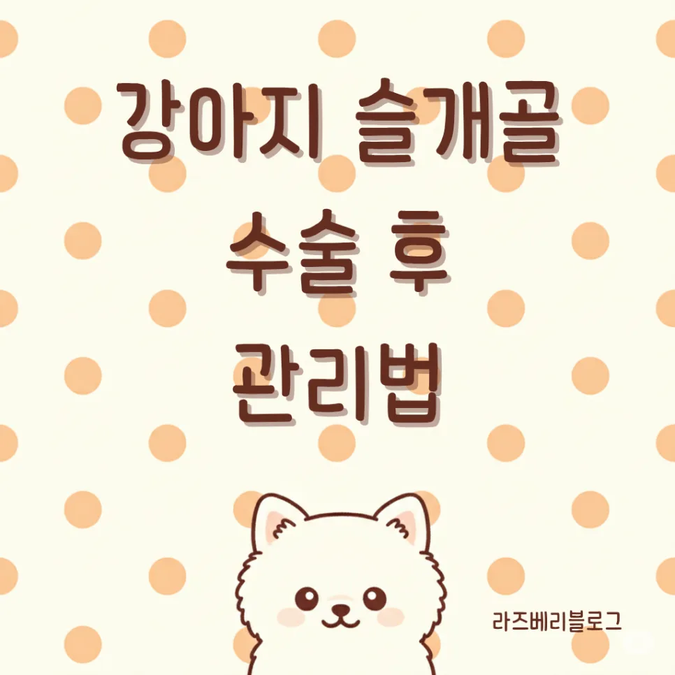 강아지 슬개골 수술 후 관리: 재발 막는 5가지 핵심 습관 2026