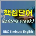 BBC 6분 영어: 야생 식물 채집 및 섭취법 2026년 완벽 정리
