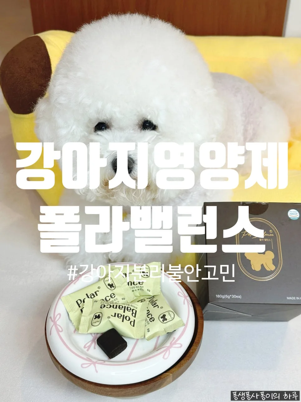 강아지 분리불안 완화 영양제 2026: 폴라밸런스 효과 및 성분 분석
