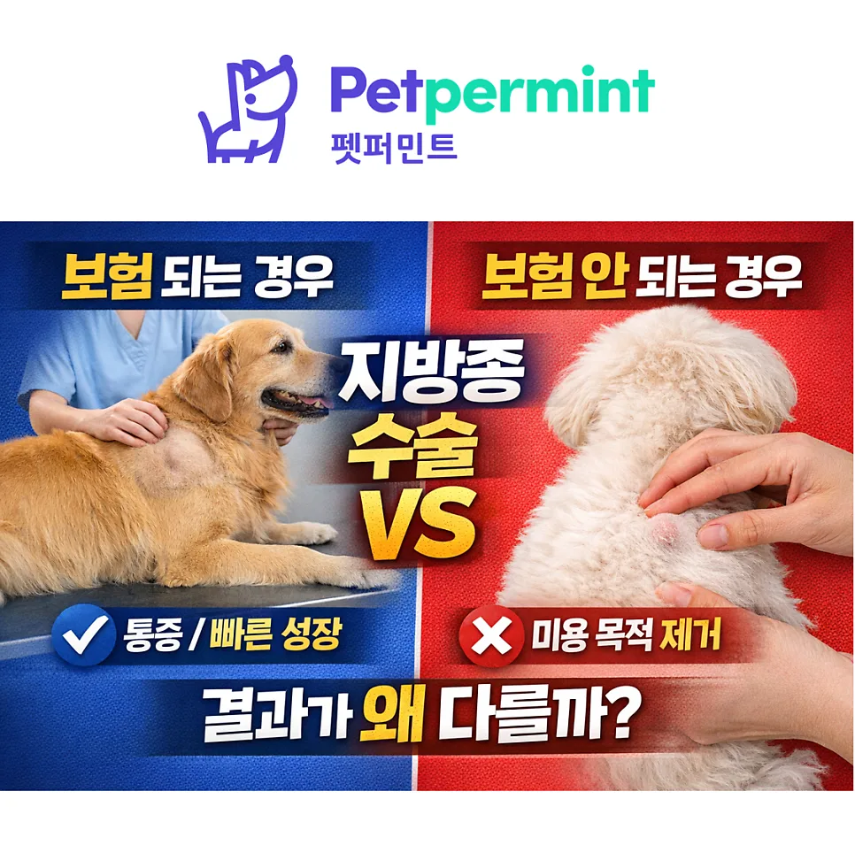 강아지 지방종 수술, 펫보험 보장 조건 2026년 총정리