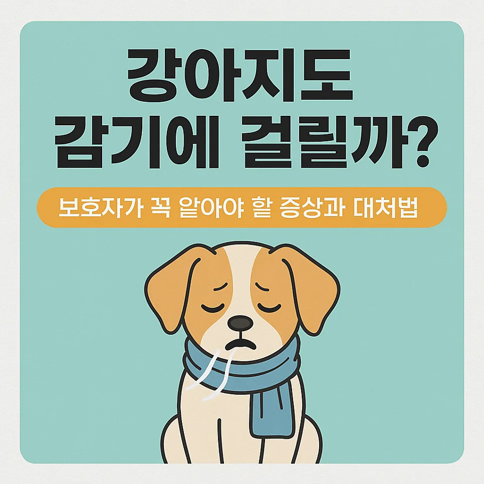 강아지 감기 증상 2026: 콜록거림·콧물 원인과 집에서 하는 대처법