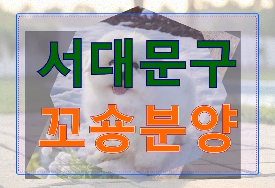 서대문구 꼬숑분양 계약 전 필수 체크리스트 2026